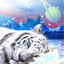 Avatar von Ice Tiger 80